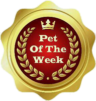 a pet of the week award